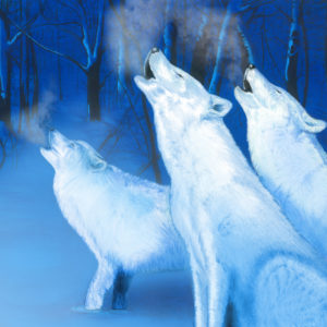 Snow Wolves.